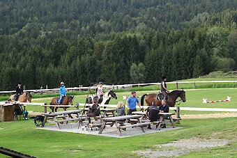 Somerurlaub auf dem Reiterhof in Bayern